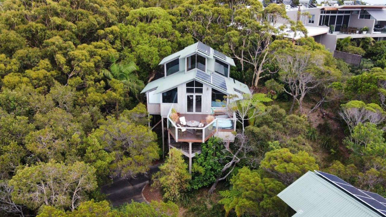 The Oasis Apartments And Treetop Houses Byron Bay Zewnętrze zdjęcie