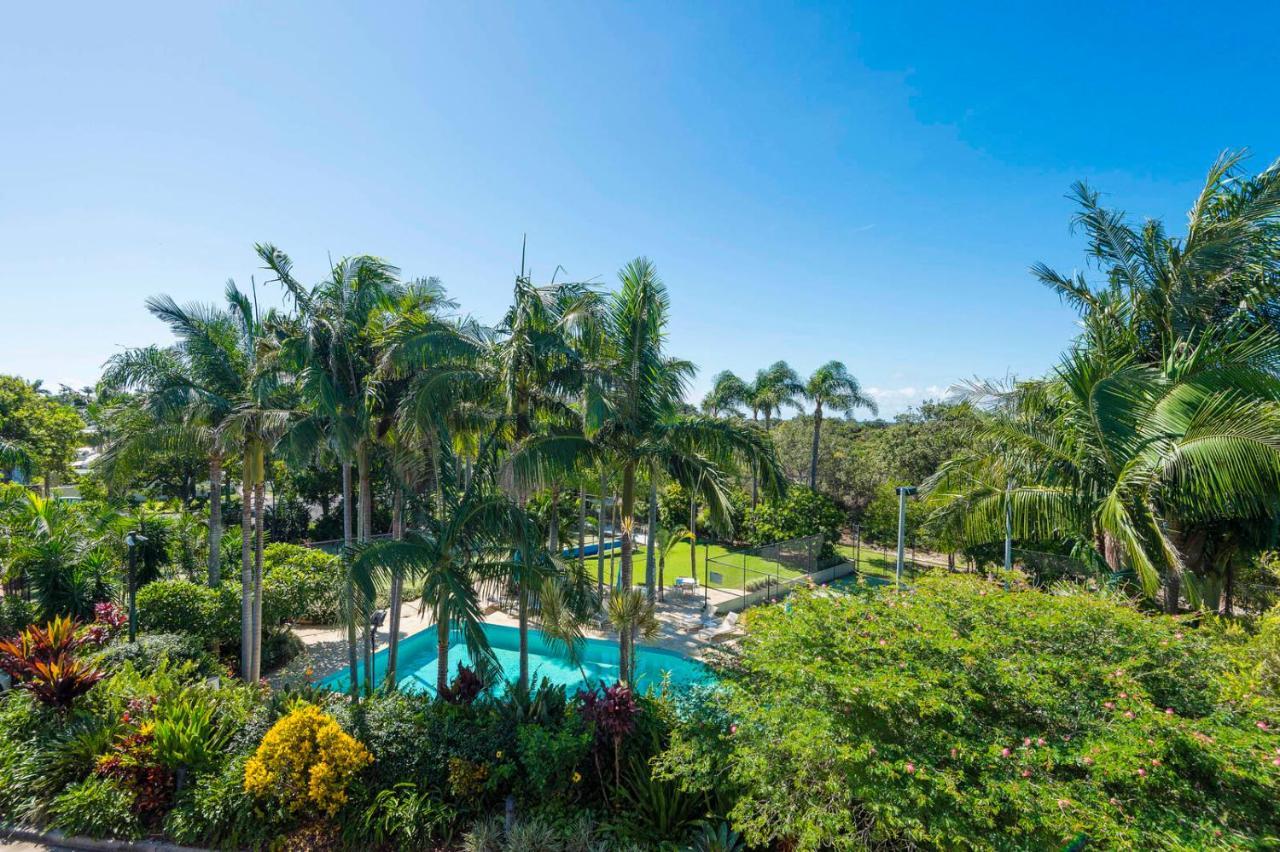 The Oasis Apartments And Treetop Houses Byron Bay Zewnętrze zdjęcie