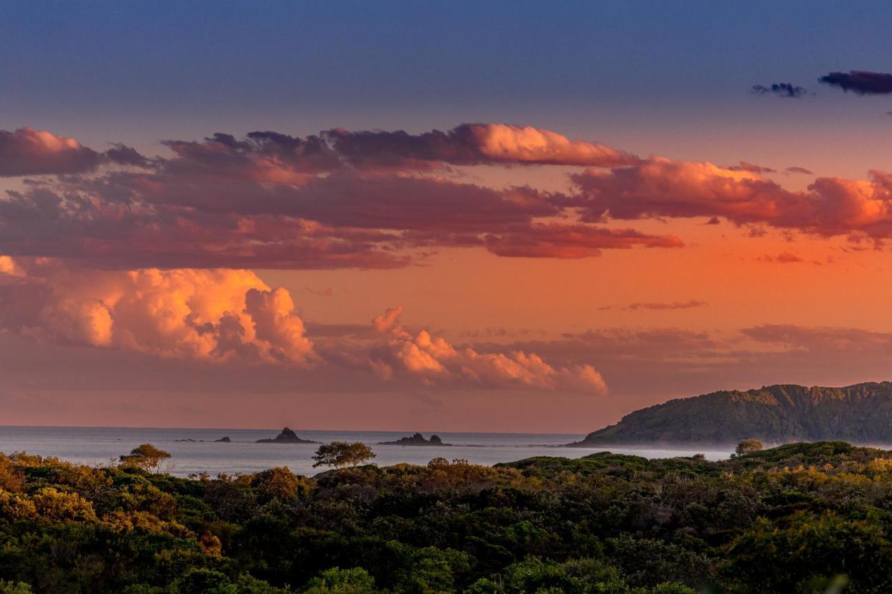 The Oasis Apartments And Treetop Houses Byron Bay Zewnętrze zdjęcie