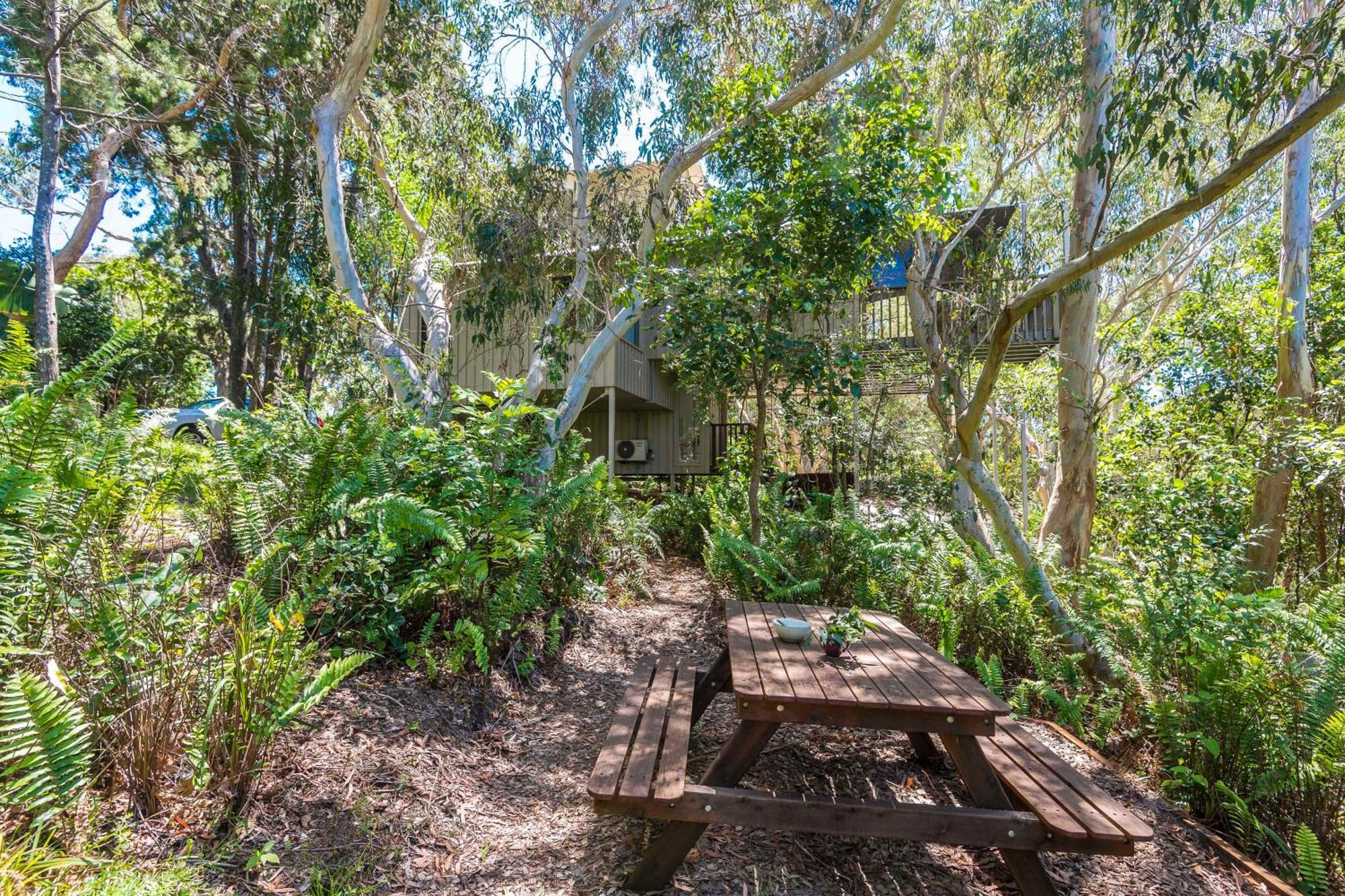 The Oasis Apartments And Treetop Houses Byron Bay Pokój zdjęcie
